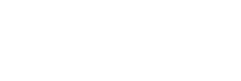 Professional Logo